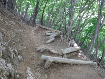 五輪山への登り階段