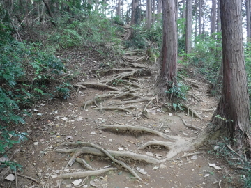 登山道