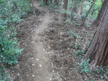 登山道