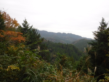 草戸峠