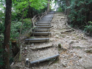 登山道