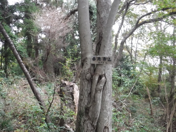 泰光寺山山頂