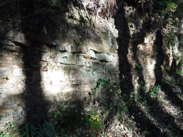登山道脇の岩の壁