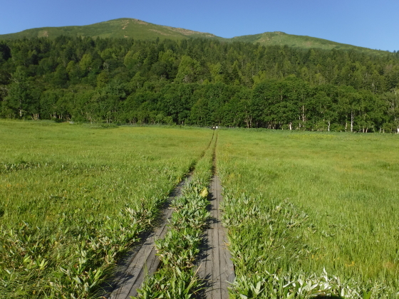 登山口への道