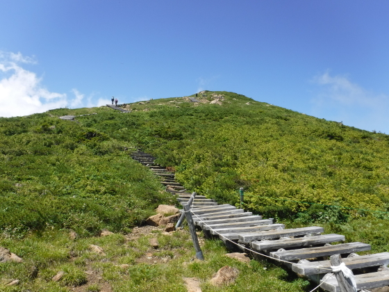 登山道
