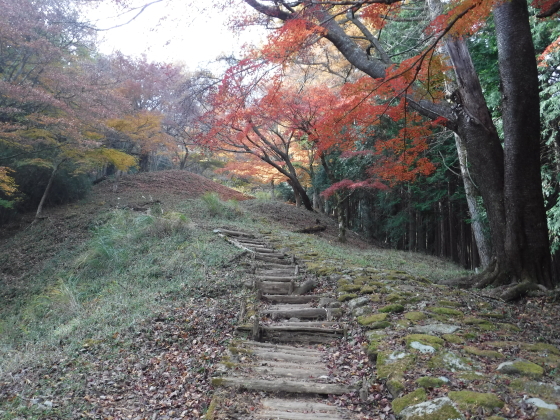 鷲巣山への登り