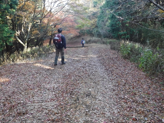 湯坂山への下り