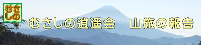 山旅の報告ヘッダー